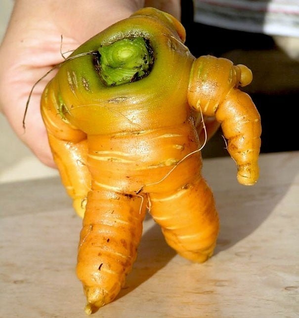 http://www.demotivateur.fr/images-buzz/05fruits-legumes-bizarre.jpg