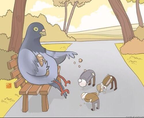 quel animal jacte