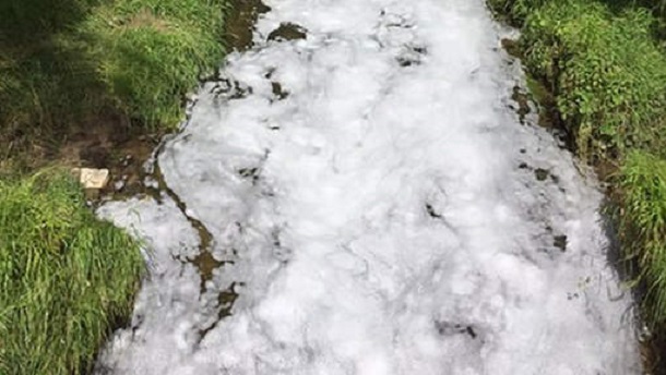ruisseau en bière