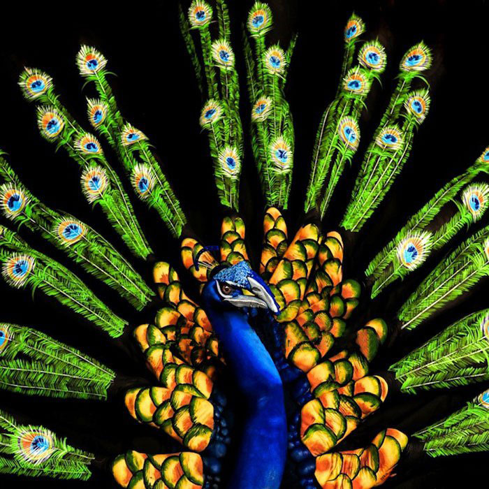 24 animaux peints sur des corps humains... le résultat est tout