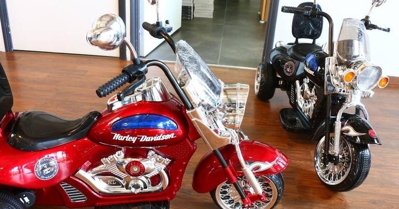 Le Bon Gout Des Bikers