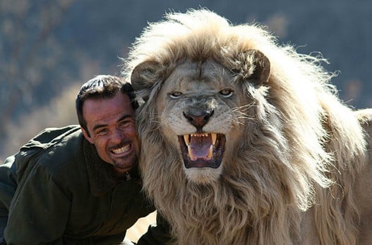 Flirter avec un homme lion