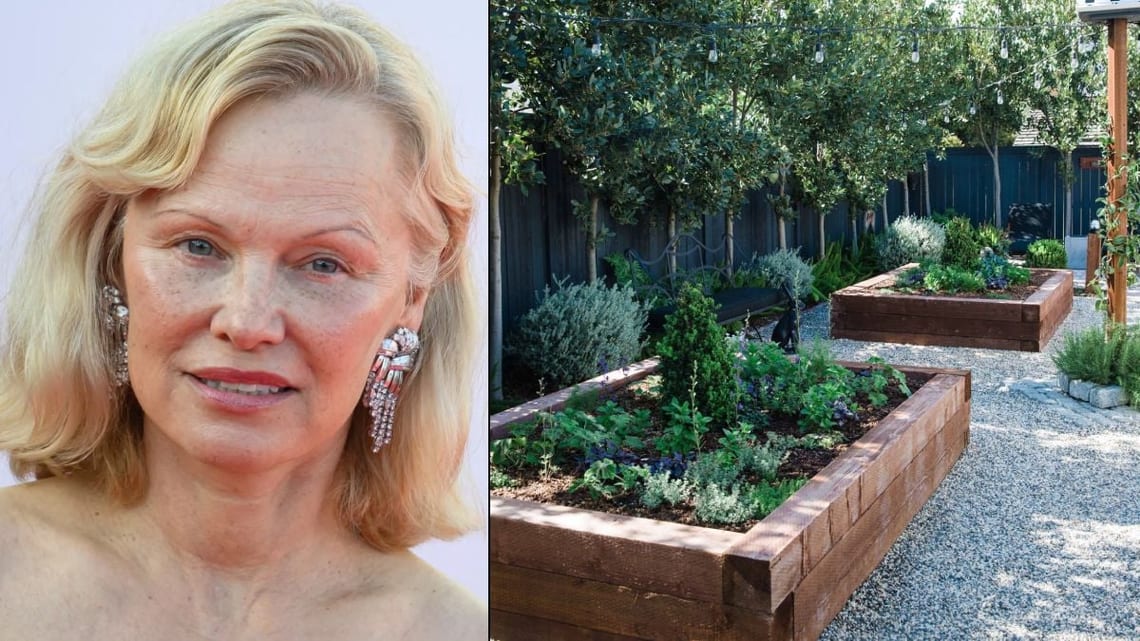 Pamela Anderson etson jardin d'Arcady