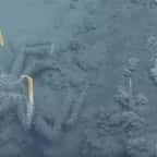 Découvert par des scientifiques, ce lac sous-marin est fatal pour toutes les espèces qui s'y aventurent...