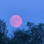 Voici quand observer la Pleine Lune Rose d’avril cette semaine