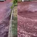 Un village du Portugal inondé par des millions de litres de vin rouge, des images impressionnantes