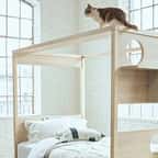 Une société japonaise a mis au point une structure de jeu intégrée à un lit pour votre chat