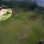 Image de vidéosurveillance montrant un chien attaqué par un alligator 