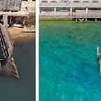 Confinement en Angleterre : la mer autour de Portsmouth se transforme en un paradis tropical grâce à la baisse de pollution