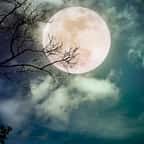Une “super Lune bleue” va illuminer le ciel dans la nuit de mercredi à jeudi 