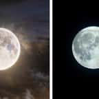 Découvrez les plus belles photos de la “Super Lune bleue” qui a illuminé le ciel ce mercredi