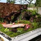 Découvrez les plus beaux « jardins sur camionnettes » récompensés lors d'un concours annuel au Japon 