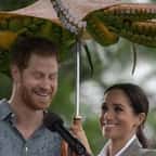 Grâce à ses talents de designer, il incruste des animaux partout, jusqu’à la famille Royale d’Angleterre et Ed Sheeran 