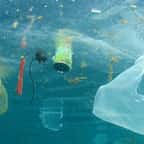 Des scientifiques inventent, par hasard, une enzyme capable de d&eacute;vorer le plastique et pouvant r&eacute;soudre le fl&eacute;au de sa pollution