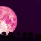 Une super Lune des fraises sera visible dans le ciel ce dimanche 4 juin 