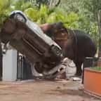 Capture d'écran montrant l'éléphant soulever une voiture 