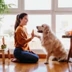 Maîtresse et son chien heureux à la maison