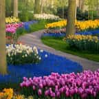 Ce photographe immortalise le plus beau jardin botanique du monde durant le confinement