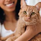 disparue depuis 8 ans, sa chatte avait été adoptée par un habitant de son village