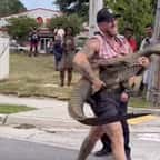 VIDÉO - Un homme capture à mains nues un alligator de 2,40 mètres qui terrorisait le quartier