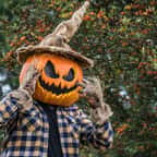 un homme en costume de citrouille