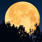Une Super Lune orangée