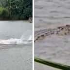 L'homme attaqué par un crocodile