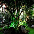 Venez découvrir cet été à Montmartre la Villa Extraordinaire, et ses mille et une merveilles !