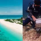 Vivez au milieu d'une espèce rare de requins dans cet hôtel paradisiaque