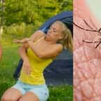Moustiques : les 5 astuces redoutables pour s'en protéger en camping