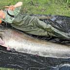 « C’était la panique » : un Breton pêche un immense silure de 2m38 dans la Vilaine