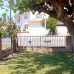 Capture d'écran des images de vidéosurveillance montrant la chatte Mama affronter le coyote 