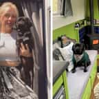 Son loyer augmente, elle abandonne son appartement et achète un petit bateau pour commencer une nouvelle vie 