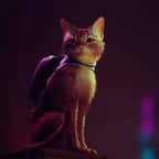 Stray, le jeu PS5 qui vous fera incarner un chat détective dans un monde de robots