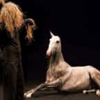 Condamné à la boucherie, ce cheval n'ayant qu'une seule oreille est sauvé par Bartabas qui l'intègre à son spectacle