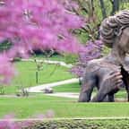 Dans un parc de Chicago, de grandes sculptures en bois fascinent les promeneurs