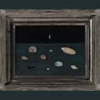 « Alderman Merriam's Shells », petit tableau de coquillages peint par Gertrude Abercrombie en 1951, acheté 26 euros dans une vente de succession au Michigan