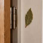 La feuille de laurier séchée diffuse ses huiles essentielles à chaque mouvement de la porte d'entrée.