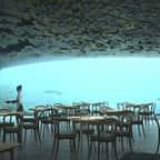 Le premier restaurant sous-marin d'Europe va s'ouvrir en Norvège !
