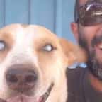  Dans ce refuge pour animaux, un chien aveugle vient toujours en courant quand il entend la voix de son meilleur ami