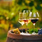 Cet escape game au coeur d’un vignoble vous offre un verre de vin à chaque bonne réponse