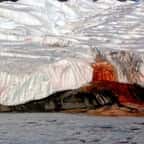 D'où viennent ces «Cascades de sang» en Antarctique ? Le mystère scientifique enfin élucidé !
