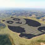 Vu du ciel, ce panda est en r&eacute;alit&eacute; une gigantesque ferme solaire chinoise nouvellement cr&eacute;&eacute;e