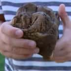 À 6 ans, il découvre une dent de mastodonte vieille de 12 000 ans