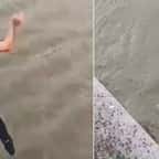 Bruxelles : deux jeunes plongent dans le canal pour sauver un homme de la noyade
