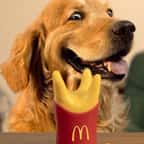 Un jouet pour chien en forme de cornet de frites