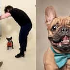 Cette photographe immortalise la joie et les personnalités de ces chiens et c'est très drôle