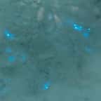 Russie : de la neige bleue bioluminescente découverte dans l’Arctique ?