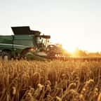900 emplois saisonniers sont à pourvoir auprès de cette coopérative agricole française pour cet été 