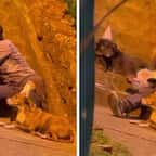 Une vidéo montrant un sans-abri organiser une fête d’anniversaire pour son chien est devenue virale 
